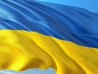 Ukraine Fahne international klein