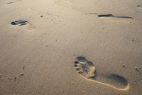 Fußabdrücke im Sand sehr klein