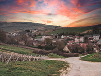 Dorf in den Weinbergen sigmund unsplash sehr klein